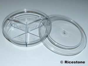 Boite plastique ronde avec 3 compartiments, PJ001-1/3, Rangement de  collection, bijoux, minéraux.