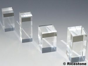 Présentoir sphérique cornus 400mm en verre acrylique transparent